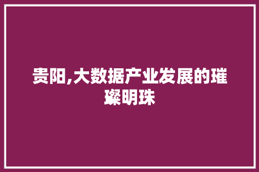 贵阳,大数据产业发展的璀璨明珠
