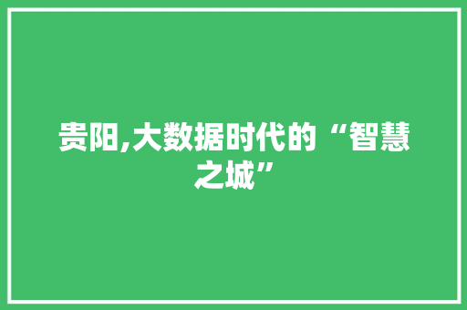 贵阳,大数据时代的“智慧之城”