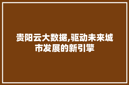 贵阳云大数据,驱动未来城市发展的新引擎 神马SEO