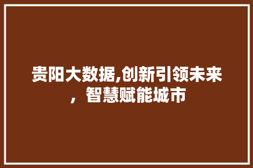 贵阳大数据,创新引领未来，智慧赋能城市 GoogleSEO