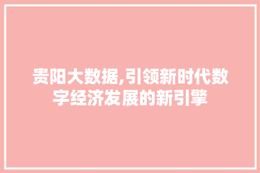 贵阳大数据,引领新时代数字经济发展的新引擎 神马SEO