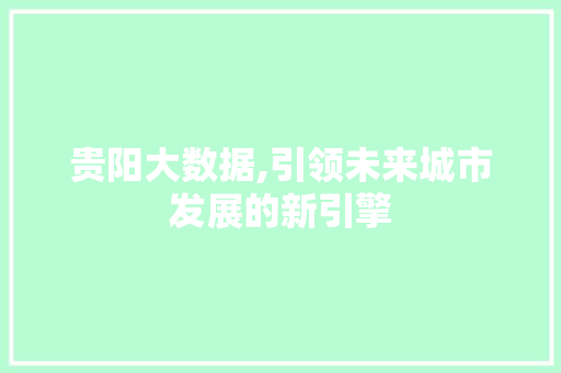 贵阳大数据,引领未来城市发展的新引擎 GoogleSEO