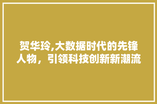 贺华玲,大数据时代的先锋人物，引领科技创新新潮流