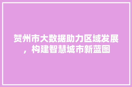 贺州市大数据助力区域发展，构建智慧城市新蓝图