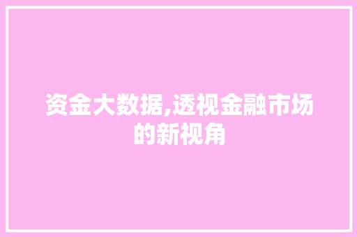资金大数据,透视金融市场的新视角