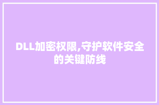 DLL加密权限,守护软件安全的关键防线