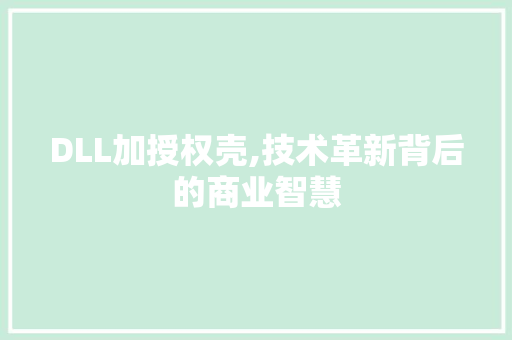 DLL加授权壳,技术革新背后的商业智慧