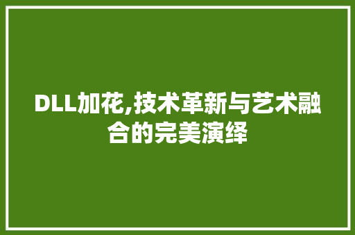DLL加花,技术革新与艺术融合的完美演绎