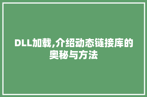 DLL加载,介绍动态链接库的奥秘与方法 搜狗SEO