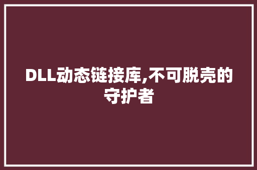 DLL动态链接库,不可脱壳的守护者