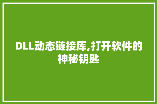DLL动态链接库,打开软件的神秘钥匙
