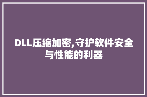 DLL压缩加密,守护软件安全与性能的利器