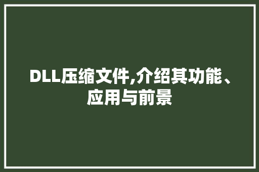 DLL压缩文件,介绍其功能、应用与前景