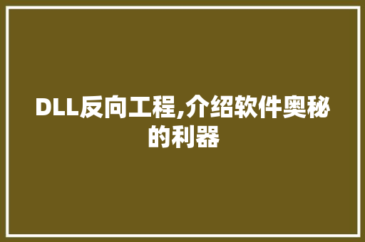 DLL反向工程,介绍软件奥秘的利器