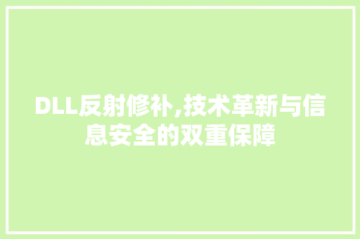 DLL反射修补,技术革新与信息安全的双重保障