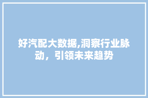 好汽配大数据,洞察行业脉动，引领未来趋势