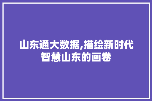 山东通大数据,描绘新时代智慧山东的画卷
