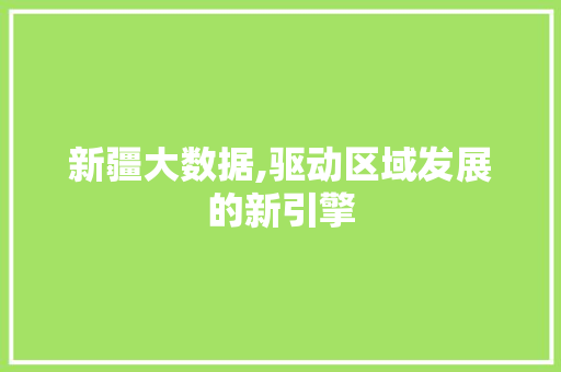 新疆大数据,驱动区域发展的新引擎