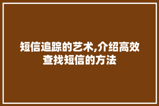 短信追踪的艺术,介绍高效查找短信的方法