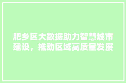 肥乡区大数据助力智慧城市建设，推动区域高质量发展