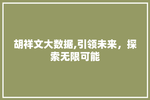 胡祥文大数据,引领未来，探索无限可能 搜狗SEO
