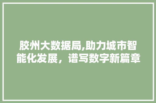 胶州大数据局,助力城市智能化发展，谱写数字新篇章