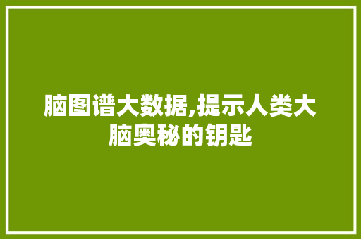 脑图谱大数据,提示人类大脑奥秘的钥匙 GoogleSEO