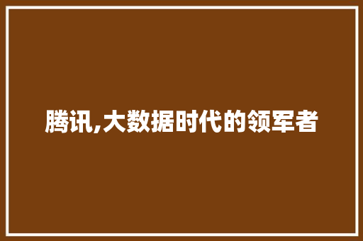 腾讯,大数据时代的领军者 必应SEO