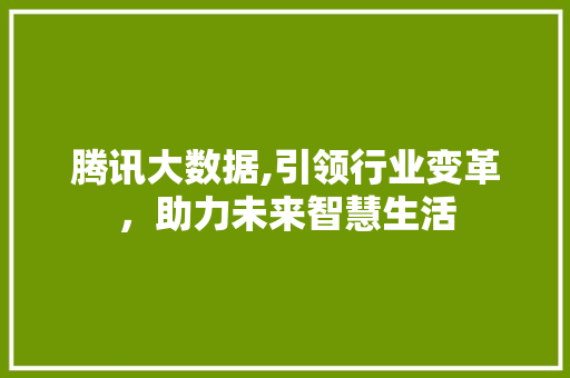 腾讯大数据,引领行业变革，助力未来智慧生活 神马SEO