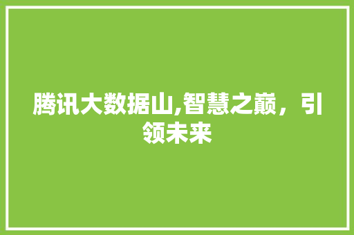 腾讯大数据山,智慧之巅,引领未来 必应SEO 腾讯大数据山,智慧之巅,引领未来 必应SEO