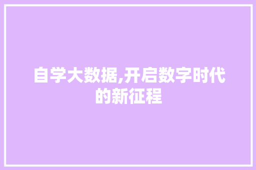 自学大数据,开启数字时代的新征程