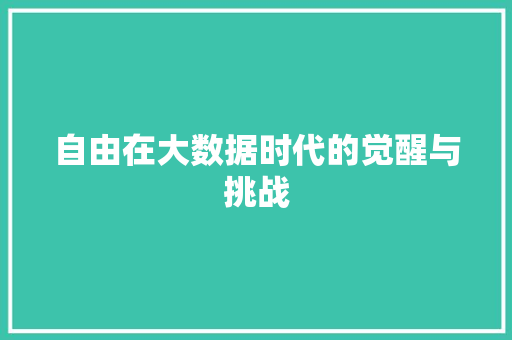 自由在大数据时代的觉醒与挑战