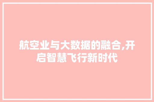 航空业与大数据的融合,开启智慧飞行新时代