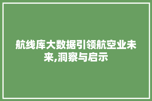 航线库大数据引领航空业未来,洞察与启示