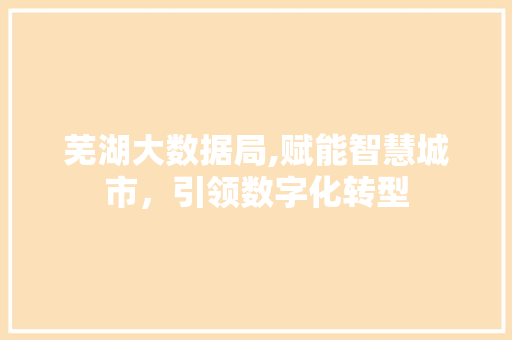 芜湖大数据局,赋能智慧城市，引领数字化转型