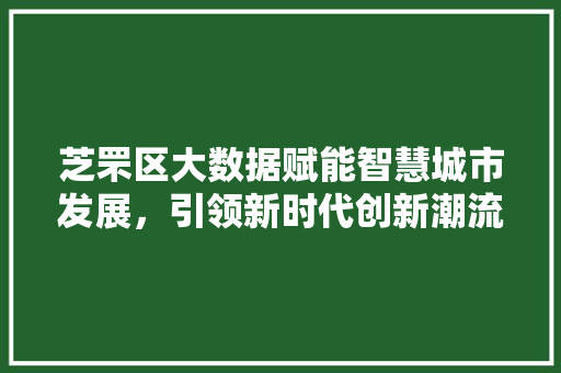 芝罘区大数据赋能智慧城市发展，引领新时代创新潮流 百度SEO