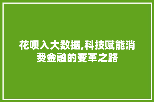 花呗入大数据,科技赋能消费金融的变革之路 GoogleSEO