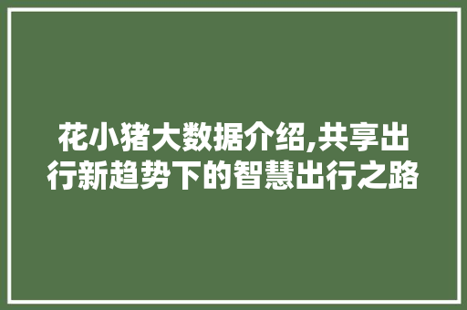 花小猪大数据介绍,共享出行新趋势下的智慧出行之路 GoogleSEO