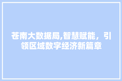 苍南大数据局,智慧赋能，引领区域数字经济新篇章 必应SEO