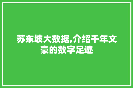 苏东坡大数据,介绍千年文豪的数字足迹 必应SEO