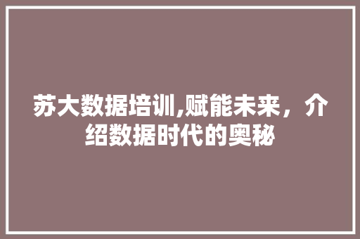 苏大数据培训,赋能未来，介绍数据时代的奥秘 百度SEO