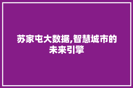 苏家屯大数据,智慧城市的未来引擎 百度SEO