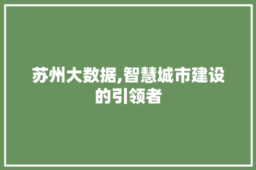 苏州大数据,智慧城市建设的引领者 百度SEO