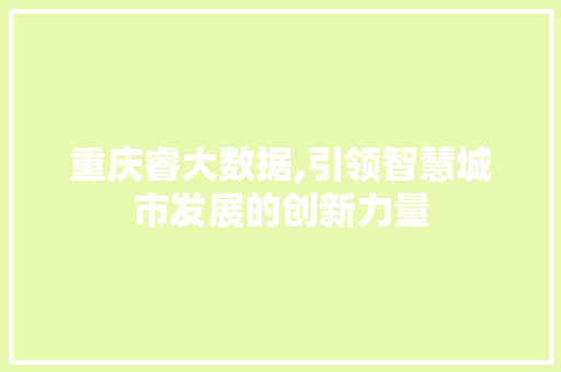 重庆睿大数据,引领智慧城市发展的创新力量