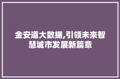 金安道大数据,引领未来智慧城市发展新篇章 百度SEO
