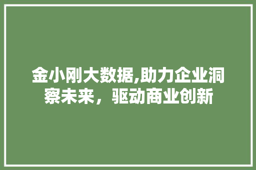 金小刚大数据,助力企业洞察未来，驱动商业创新 百度SEO