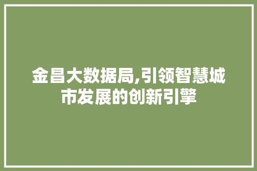 金昌大数据局,引领智慧城市发展的创新引擎