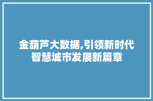 金葫芦大数据,引领新时代智慧城市发展新篇章 百度SEO