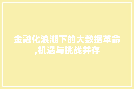 金融化浪潮下的大数据革命,机遇与挑战并存