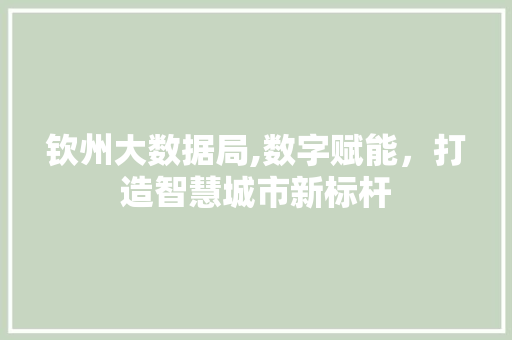 钦州大数据局,数字赋能，打造智慧城市新标杆